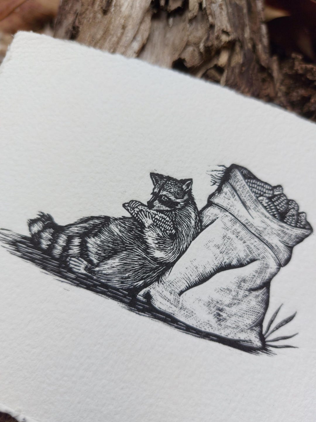 Raccoon and Maize Artwork, Raccon Art Print Original Linocut Print ...