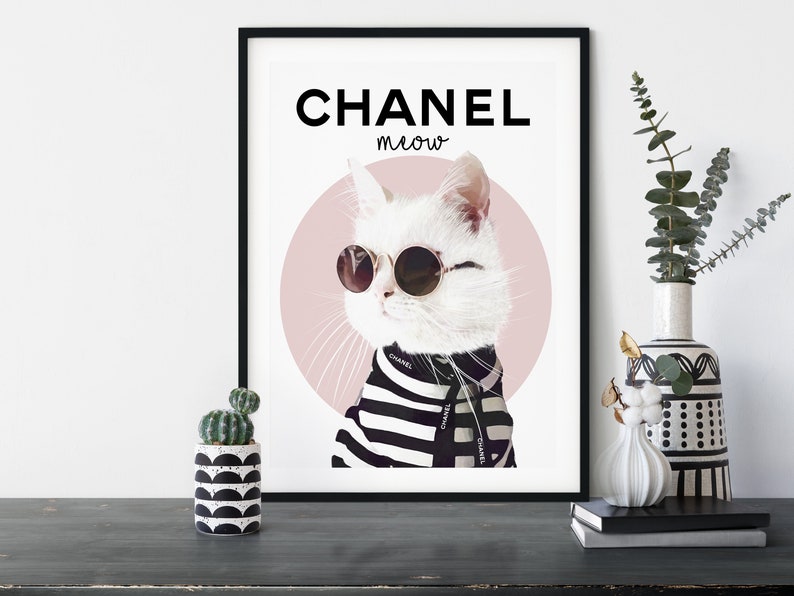 Кошечка chanel. Красивый кот с ошейником перс. Стильный котик. Сиамская кошка в очках. Кошка николая баскова шанель.