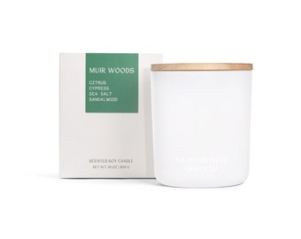 Muir Woods Candle - Cypress, Citrus, Sandalwood, Vanilla & Sea Salt