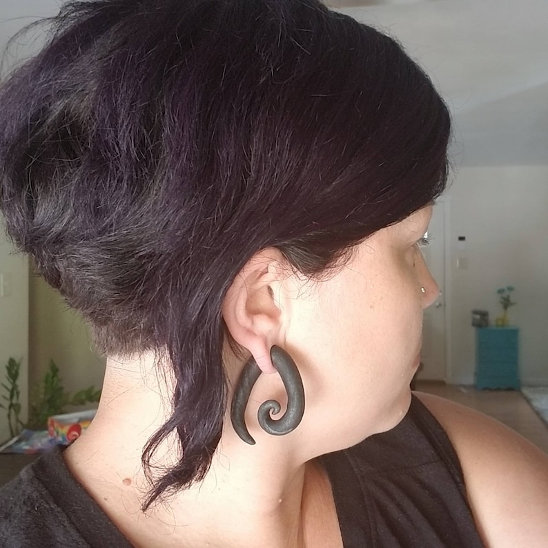 pair Oval Spiral plugs