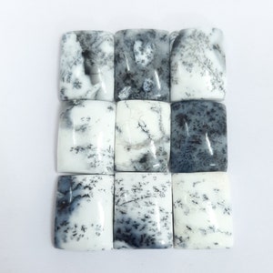 Natürliche Dendrit-Opal Glatte Achteck Cabochon Edelstein, KALIBRIERTE Lose Stein Cab, AAA Dendrit-Opal Glatte Achteck Cabochons Für Schmuck