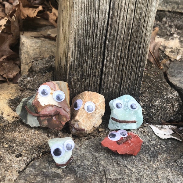 Googly eyed Rocks