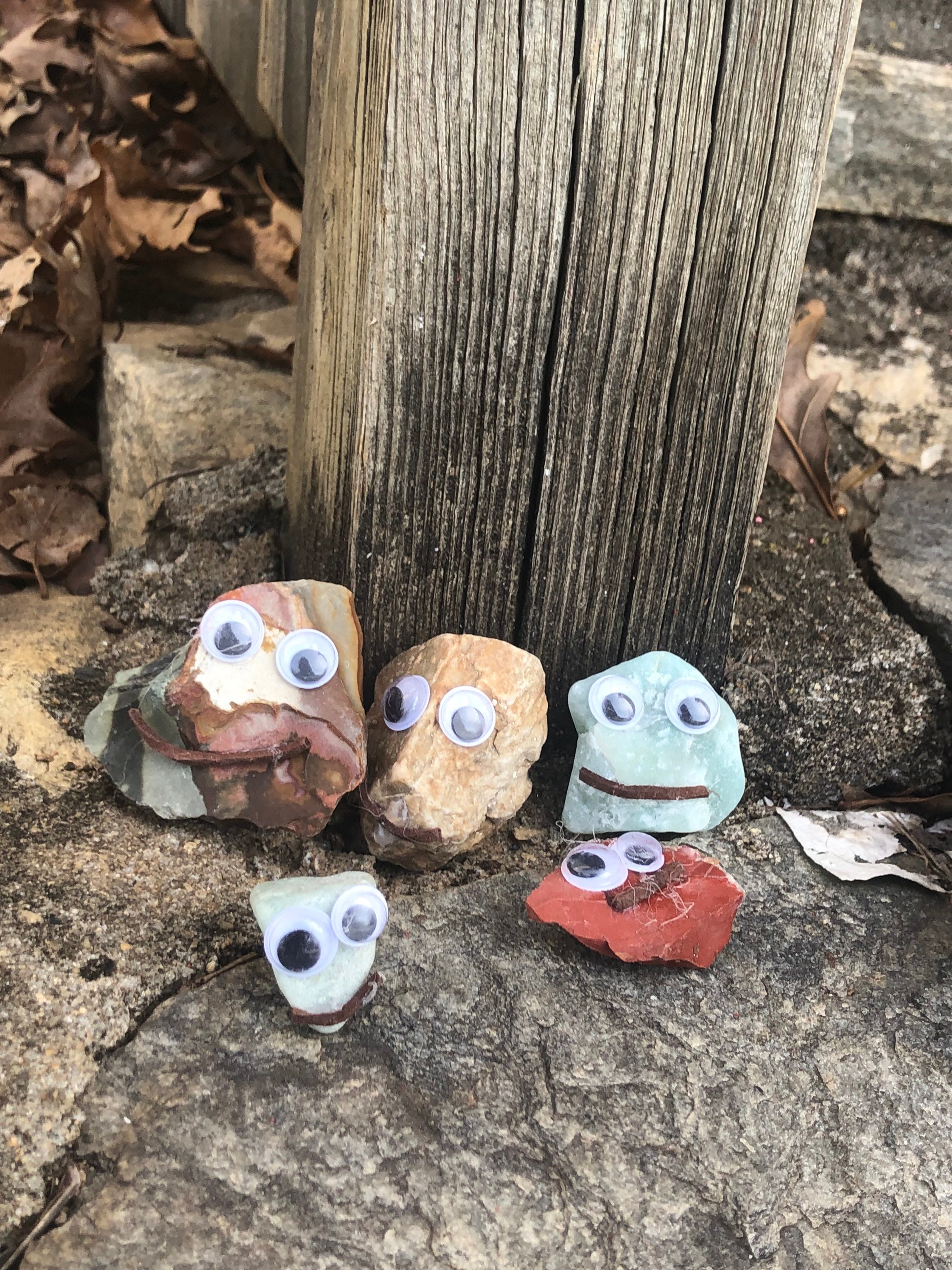 Rock With Googly Eyes