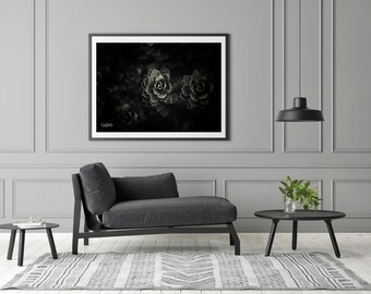 Fine Art Landscapes - BW Plant Life1