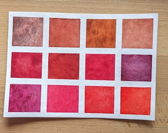 Palette rouge monochrome - 12 demi-boîtes