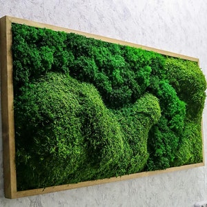 Natural Preserved Ball & Flat Moss Wall Art CAREFREE | VARIOUS-SIZE
