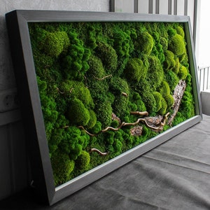 Könnte beinhalten: Ein gerahmtes Moos-Wandbild mit einem naturbelassenen Holzrahmen und verschiedenen grünen Moostexturen. Das Moos ist in einem natürlichen, organischen Muster angeordnet, und es sind ein paar kleine Äste in das Design integriert.