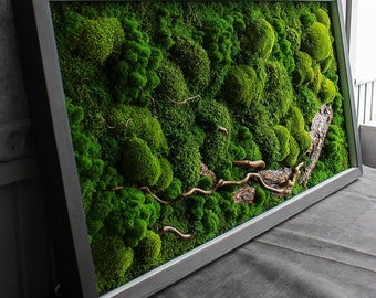 Illuminated Nature: Moss, Bark & Branch Wall Art with LED Backlighting | Eco-Friendly, Handmade Botanical Decor