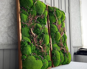 May include: Two framed moss wall art pieces with a natural green and brown color scheme. The moss is arranged in a textured, organic pattern.