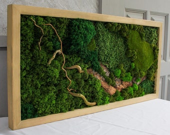 Pode incluir: Uma peça de arte de parede de musgo enquadrada com uma moldura de madeira natural. O musgo está disposto em uma variedade de tons de verde e inclui um galho seco.