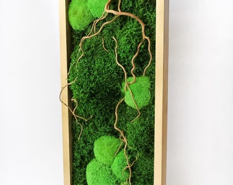 Pode incluir: Uma peça de arte de parede de musgo enquadrada com uma moldura de madeira natural. O musgo é verde e está disposto em uma variedade de formas e tamanhos. Um ramo seco está entrelaçado no musgo.