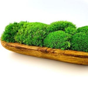 Elegant Preserved Moss Wooden Bowl Centerpiece, Hand-Carved Rustic Dough Bowl, Nature-Inspired Table Decor, CAREFREE | VARIOUS-SIZE