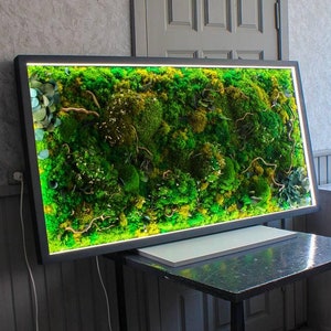 Puede incluir: Una pieza de arte de pared de musgo enmarcada con un marco negro y una variedad de texturas de musgo verde. El arte está iluminado desde atrás con luces LED y está sentado en una mesa negra.
