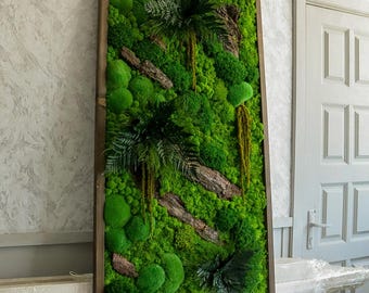 Può includere: Un'opera d'arte murale rettangolare con una lussureggiante composizione di muschio verde. L'opera comprende diversi tipi di muschio, felci e piccoli pezzi di legno, il tutto racchiuso in una cornice di legno marrone scuro. Il pezzo crea un'esposizione naturale, strutturata e visivamente accattivante.