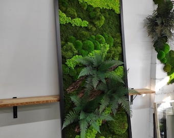 May include: A framed moss wall art piece with a black frame. The moss is arranged in a variety of shapes and sizes, including ferns and other greenery. The moss is a vibrant green colour.