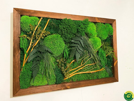 Preserved Moss Wall Art, Custom Gift, Framed Moss Decor, Nature