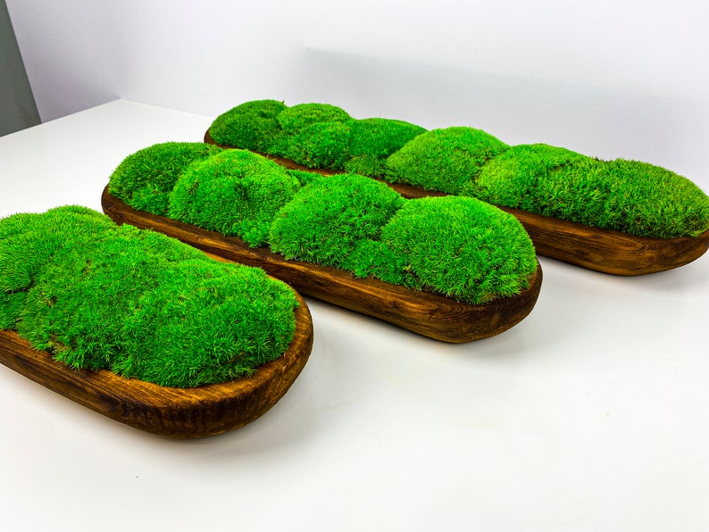 Preserved Moss Wooden Bowl Table Decor Dough Bowl Moss Etsy