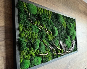May include: A framed moss wall art piece with a black frame and a variety of green moss textures. The moss is arranged in a natural, organic pattern with some branches and twigs incorporated into the design.