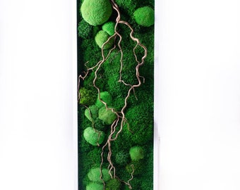 May include: A white framed wall art piece featuring preserved green moss and a brown branch. The moss is arranged in a variety of shapes and sizes, creating a natural and organic look.
