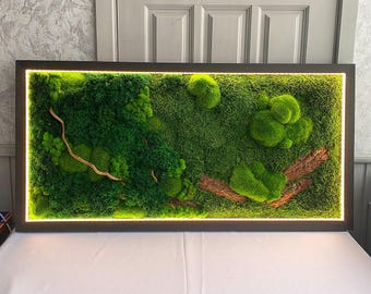 Warm LED-Lit Preserved Moss Art with Natural Bark & Branches, Eco-Friendly Rustic Decor, Handcrafted Botanical Wall Art | VARIOUS SIZES