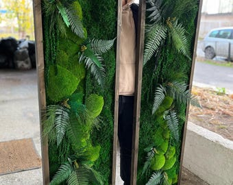 May include: Two framed moss wall art pieces with a variety of green moss and ferns. The frames are made of dark wood.