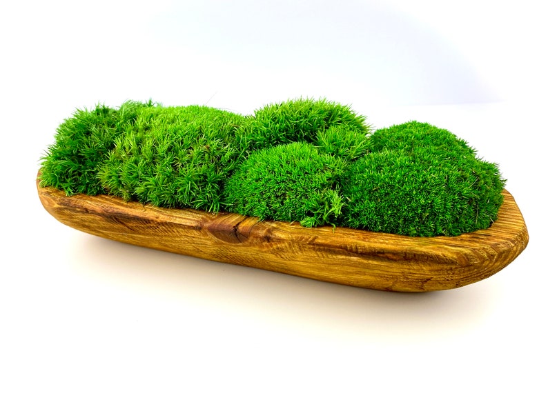 Preserved Moss Wooden Bowl Table Decor Dough Bowl Moss Etsy