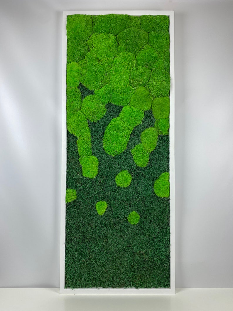 Preserved Moss Art Framed Real Moss Decor Living Moss Wall - Etsy