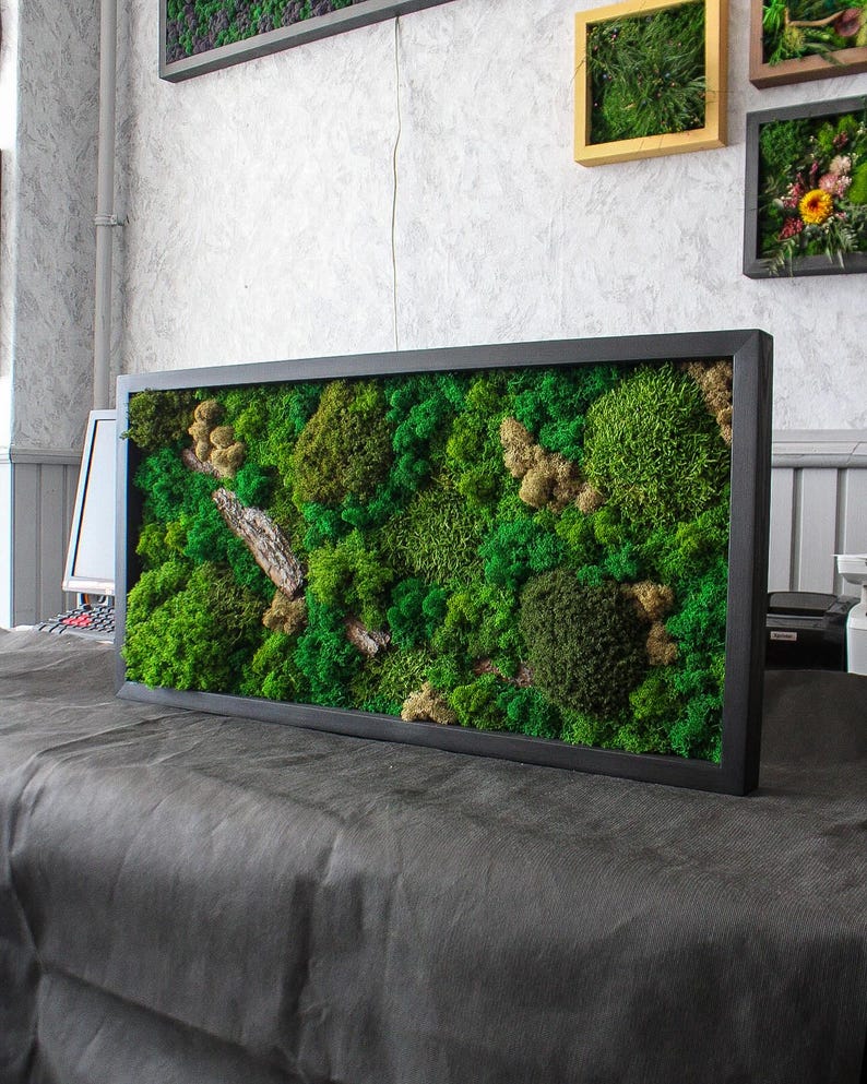 Artisan Moss & Bark Wall Art Sustainable Home Decor Etsy Australia