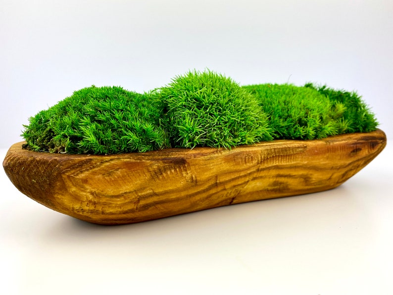 Preserved Moss Wooden Bowl Table Decor Dough Bowl Moss Etsy