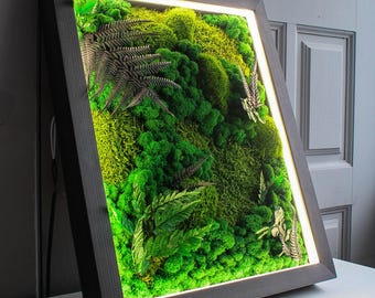 Woodland Oasis Eco-Friendly Moss & Fern Wall Art with Bright LED Light, Nature-Inspired Botanical Decor, Preserved Moss Ferns, White LED