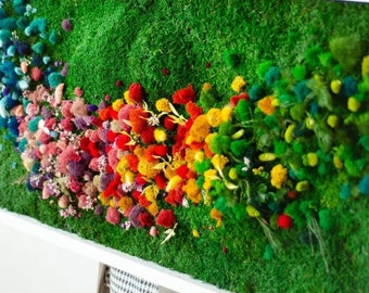 May include: A framed wall art piece featuring a rainbow of dried flowers and greenery arranged on a bed of green moss.
