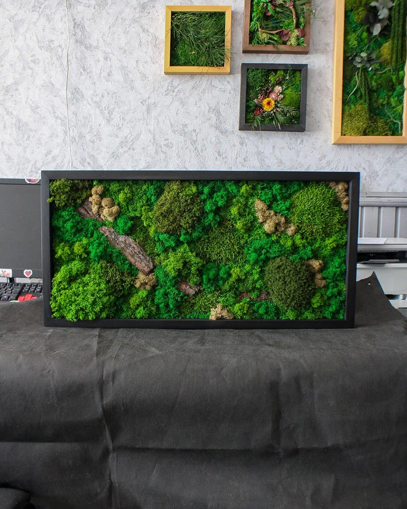 Artisan Moss & Bark Wall Art Sustainable Home Decor Etsy Australia