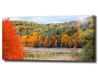 Panoramic Fall Foliage Canvas Wall Art at Sunrise Autumn