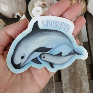 Vaquita, Porpoise, Dolphin, Die-Cut Sticker, Ocean Art, Marine Mammals, Endangered species, Sea Animals