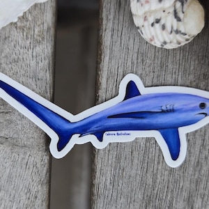 Thresher Shark Sticker: Watercolor Ocean Art
