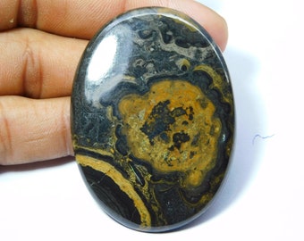 Square 31x33 mm Cabochon Minnesota Stromatolite Cabochon