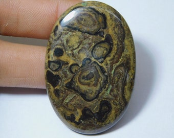 Square 31x33 mm Cabochon Minnesota Stromatolite Cabochon