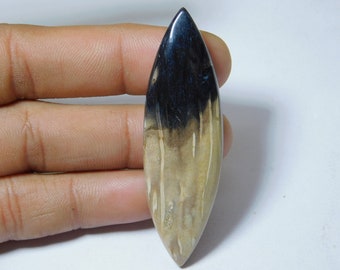 Natural Petrified Palm Root Fossil Smooth Cabochon Loose Gemstones Loose semi precious  Petrified Palm Jewelry 156Cts.60X58MM