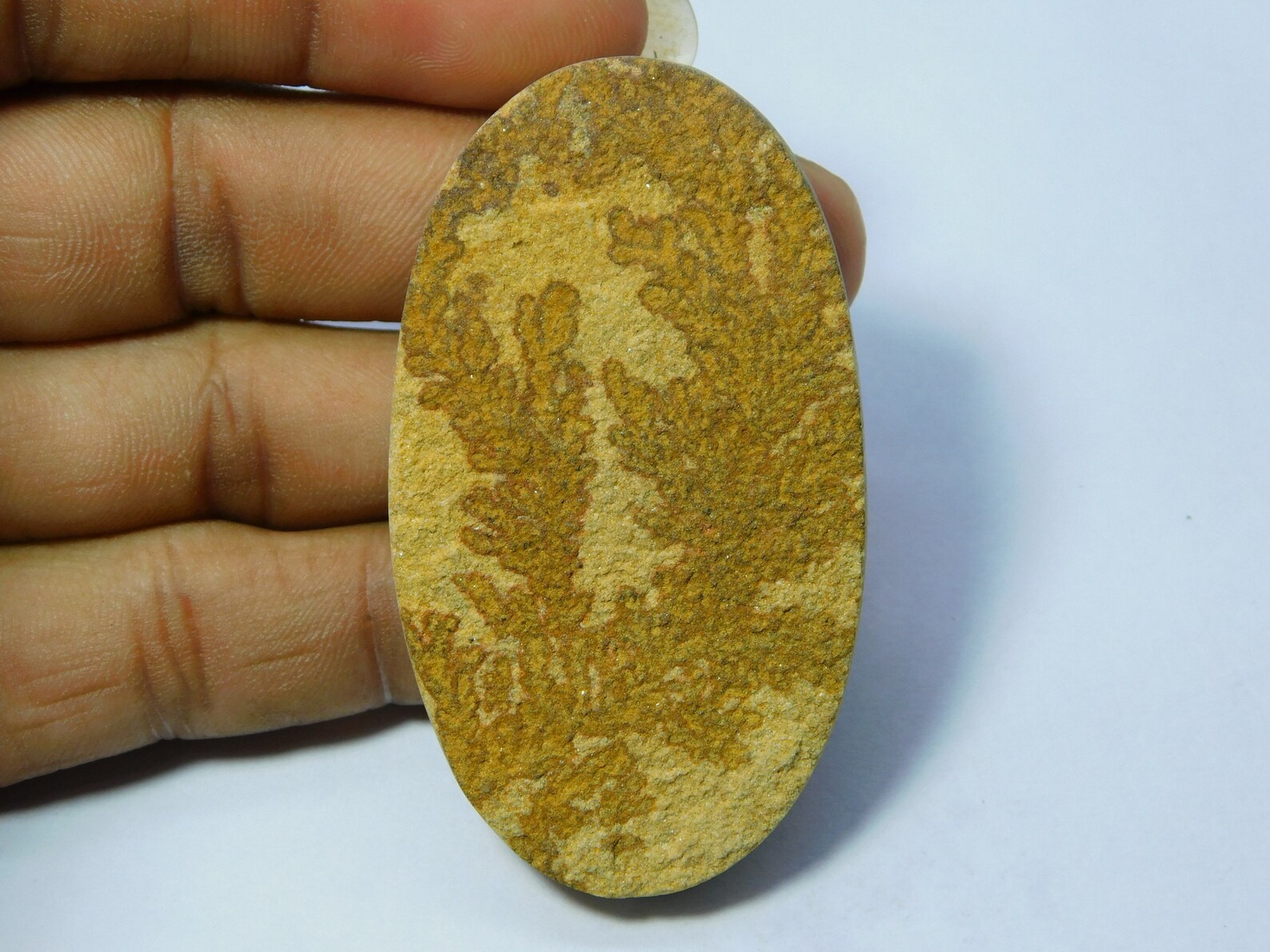 psilomelane dendrite psilomelane dendrite