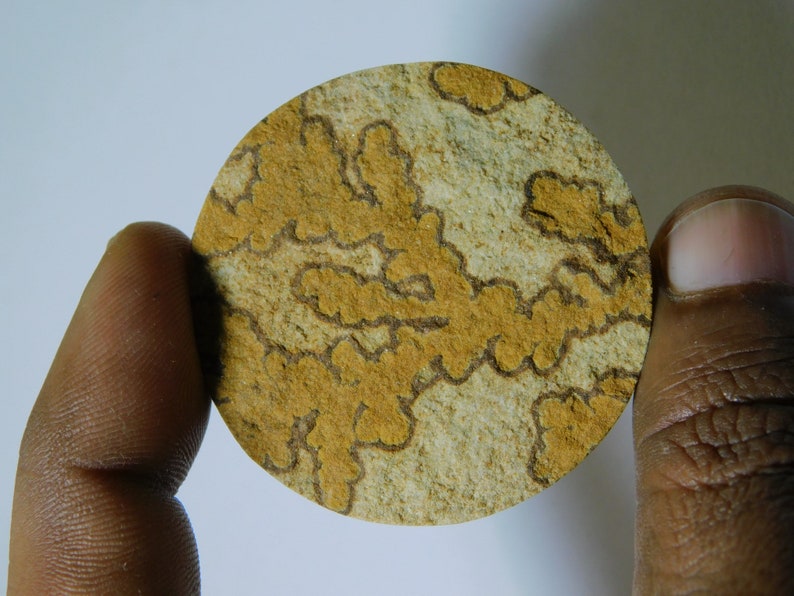 Natural Psilomelane Dendrite Cabochon Top Quality Psilomelane Dendrite Loose Gemstone Semi Precious Handcraft Stone For Jewelry 103 Ct #5464