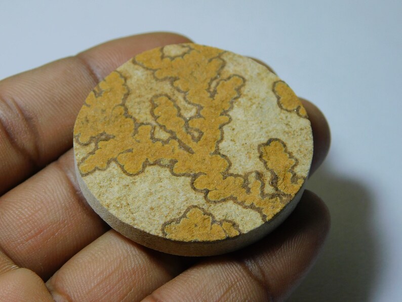 Natural Psilomelane Dendrite Cabochon Top Quality Psilomelane Dendrite Loose Gemstone Semi Precious Handcraft Stone For Jewelry 103 Ct #5464
