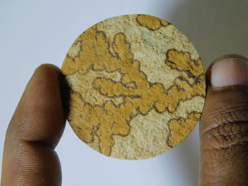 Natural Psilomelane Dendrite Cabochon Top Quality Psilomelane Dendrite Loose Gemstone Semi Precious Handcraft Stone For Jewelry 103 Ct #5464