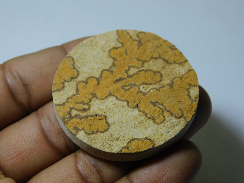 Natural Psilomelane Dendrite Cabochon Top Quality Psilomelane Dendrite Loose Gemstone Semi Precious Handcraft Stone For Jewelry 103 Ct #5464