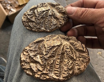 Bronze Aspen Colorado belt buckle topo map