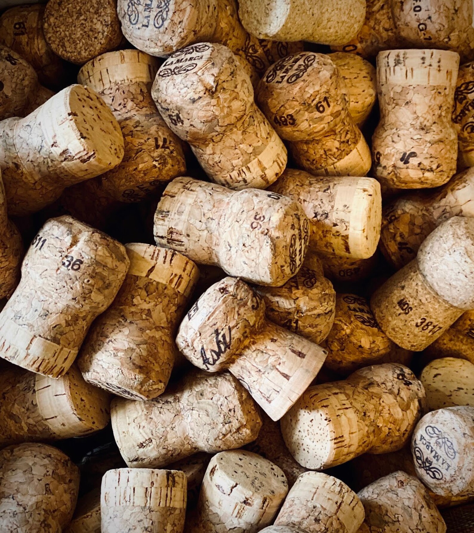 Champagne Corks Etsy