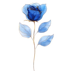 May include: A watercolor illustration of a blue rose with gold outlines. The rose has delicate petals and is set against a white background. The stem and leaves are also blue with gold accents, creating an elegant floral design.
