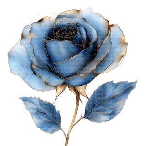May include: A watercolor illustration of a blue rose with gold outlines and accents. The rose has multiple petals and is in full bloom, with two blue leaves and a brown stem. The background is white.