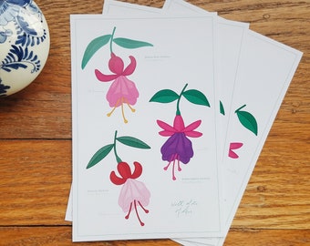 Hummingbird Fuchsia Postcards for Parkinson's Awareness