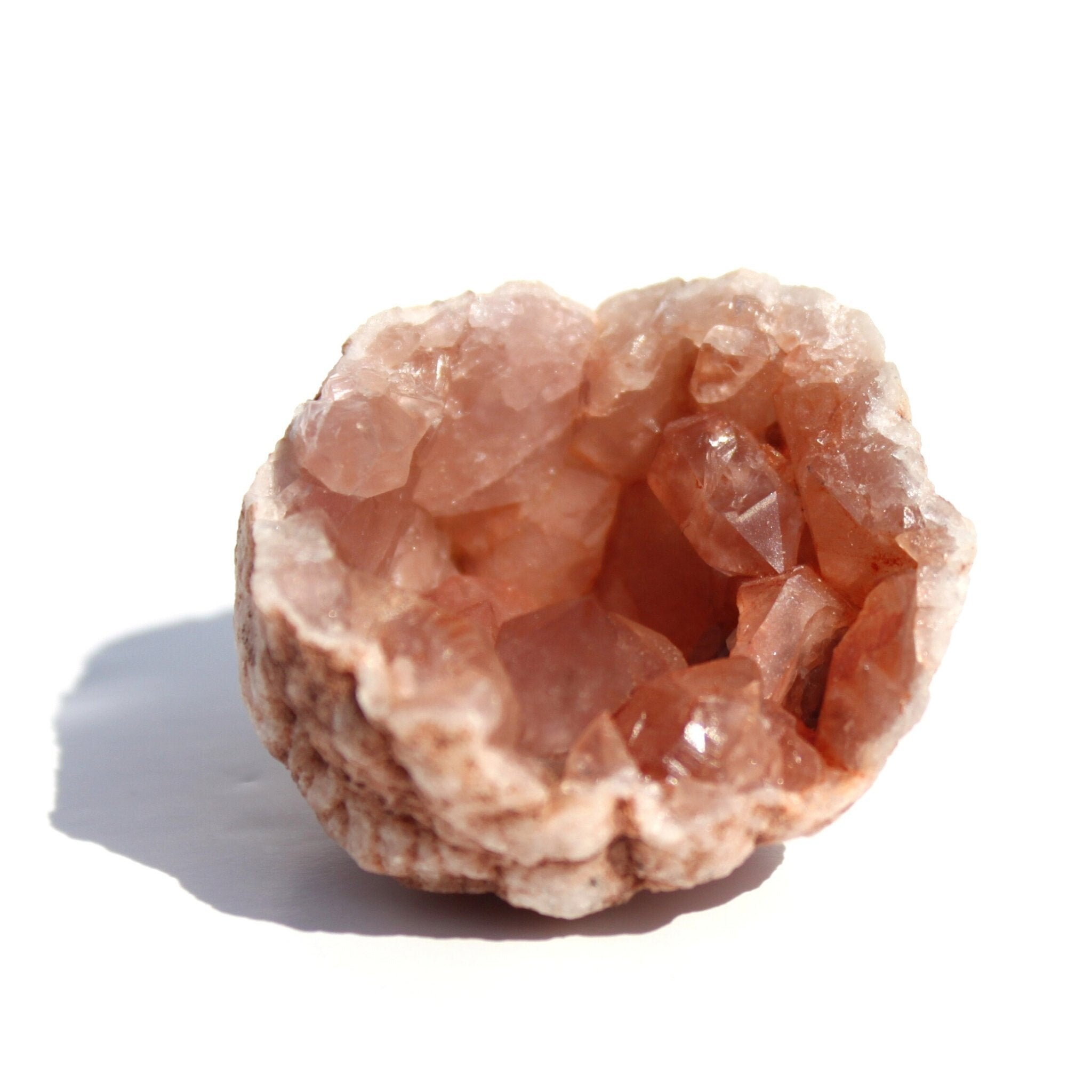 Grappe D'améthyste rose