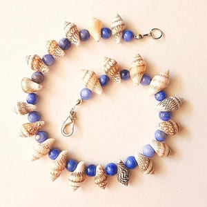 May include: A necklace featuring alternating natural seashells and blue beads. The seashells are tan and white, with intricate patterns. The blue beads are round and smooth. The necklace has a silver-colored clasp.